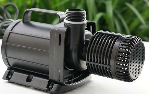 hướng dẫn chọn máy bơm bể cá đúng cách