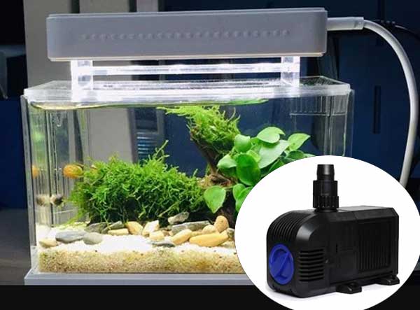 một số Những điều cần biết về máy bơm bể cá
