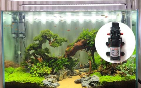 phân loại máy bơm bể cá