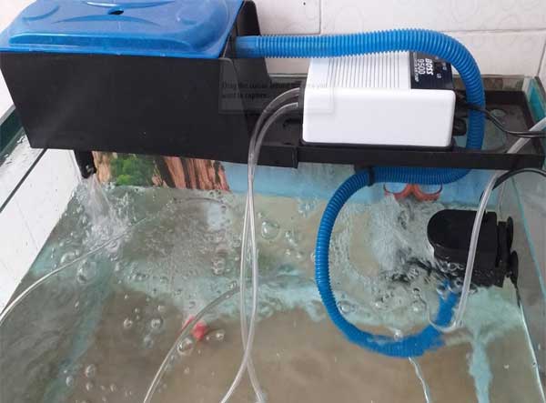 Phân loại máy bơm cho hồ cá bể cá cảnh