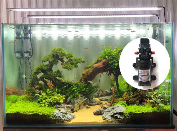 phân loại máy bơm bể cá