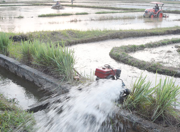 Những điều cần biết về máy bơm nước cho nông nghiệp