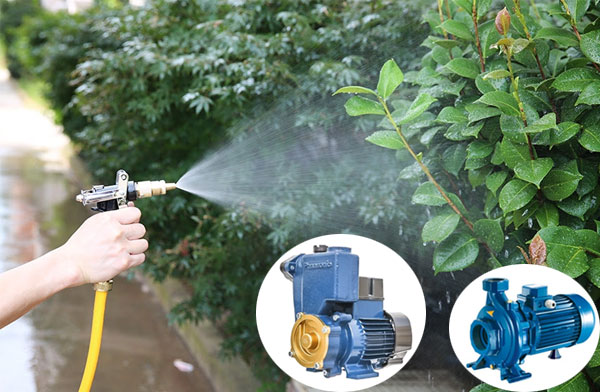 Cách chọn máy bơm tưới cây hiệu quả