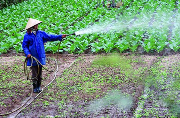 Những điều cần biết về máy bơm nước tưới rau