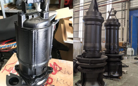 lỗi thường gặp ở bơm chìm ebara